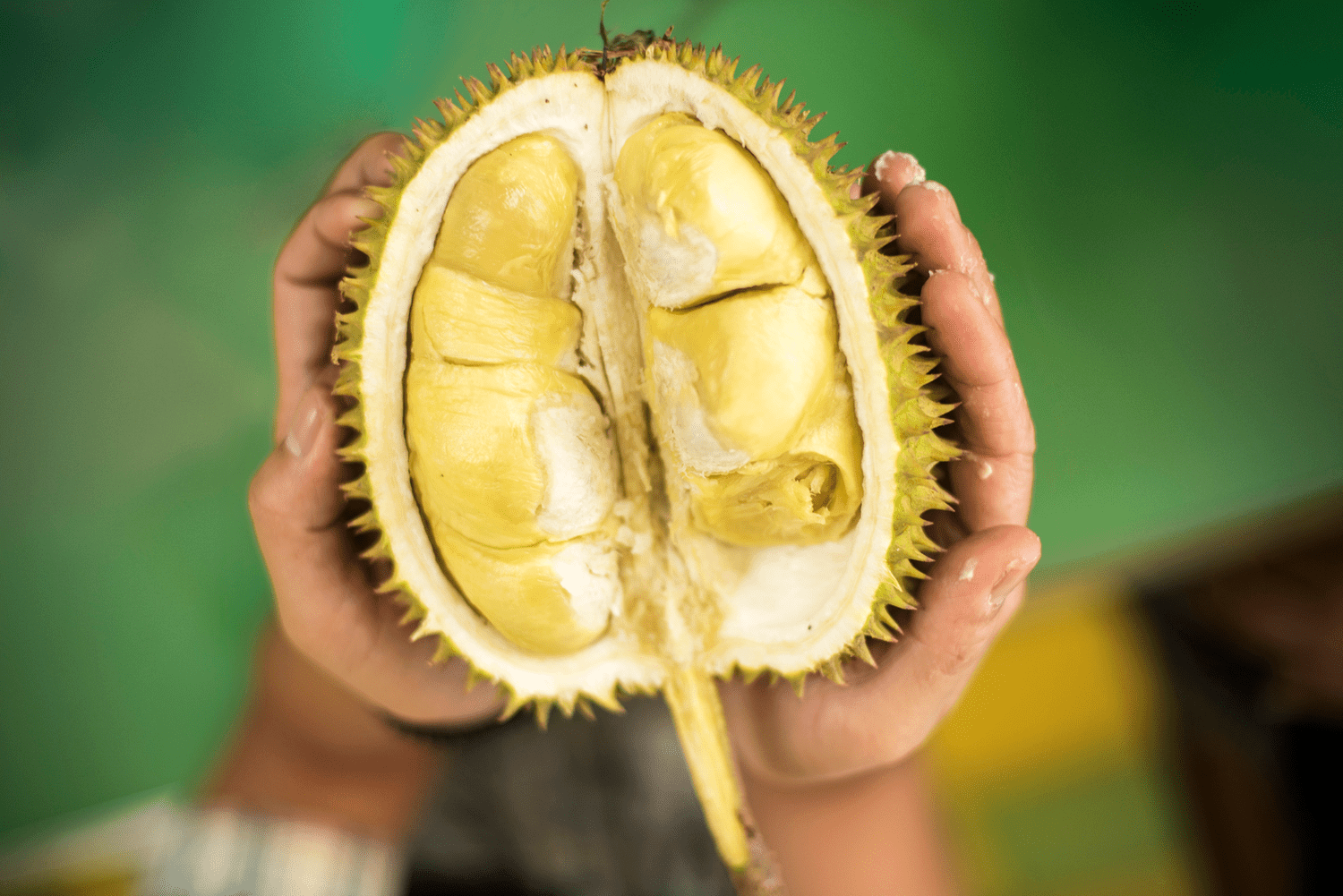 Durian